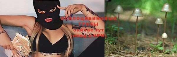 ешки Горно-Алтайск