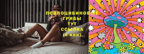 ешки Горно-Алтайск