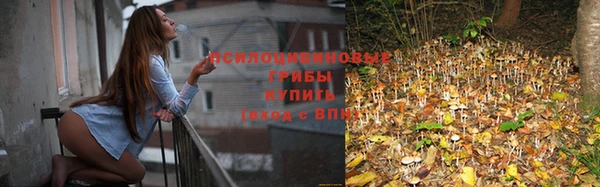 тгк Володарск