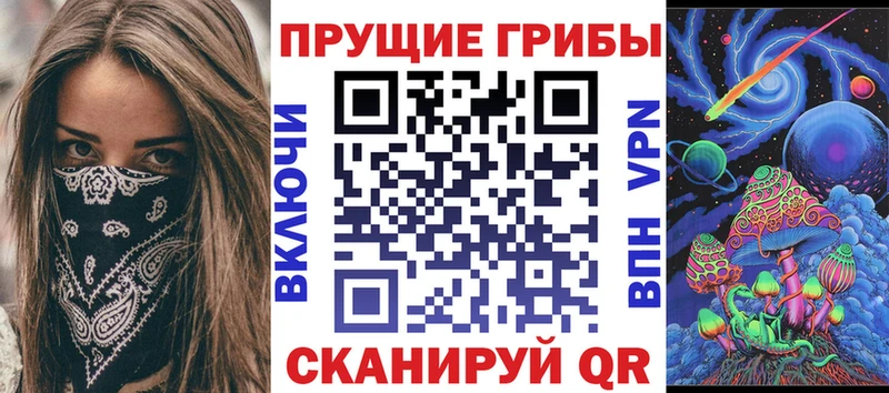 Галлюциногенные грибы Psilocybine cubensis  хочу наркоту  Елабуга 